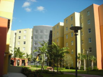 佛罗里达国际大学,佛罗里达国际大学qs世界排名