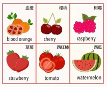 水果英语,100个常见水果的英语