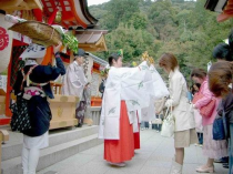 探访日本文化习俗：传统与现代的完美融合