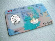 加拿大枫叶卡,移民加拿大需要哪些条件