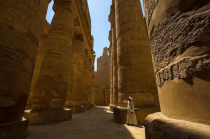 埃及旅游团,绝美埃及，神秘之旅！探访千年文明的神秘胜地，开启一场震撼心灵的旅程！
